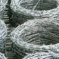 Galvanized Barbed wire, high security fence Barbed Wire